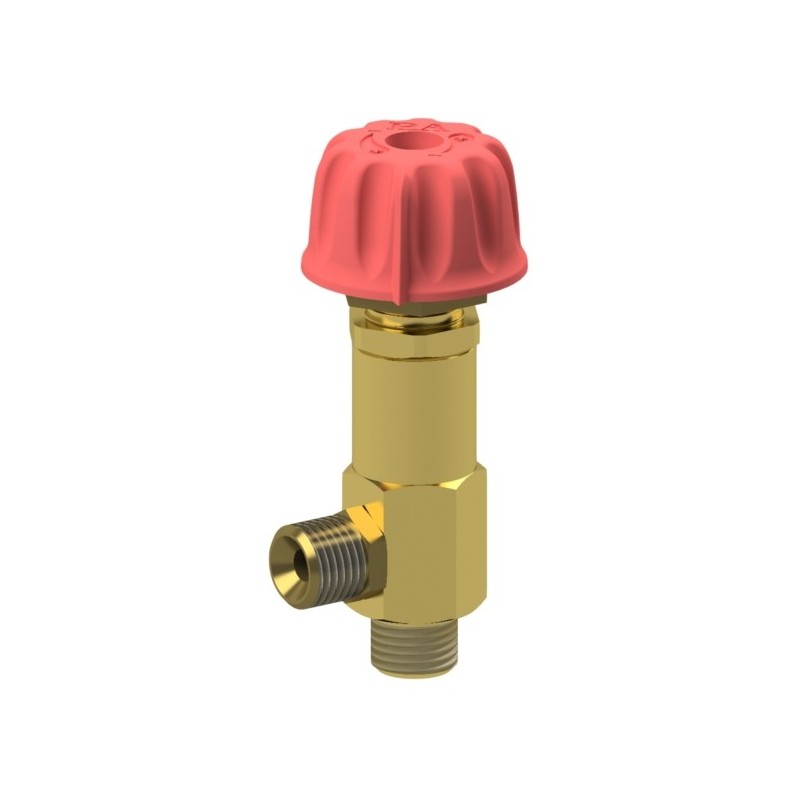 RV1- regulator pary v.2 – 29.0850.12