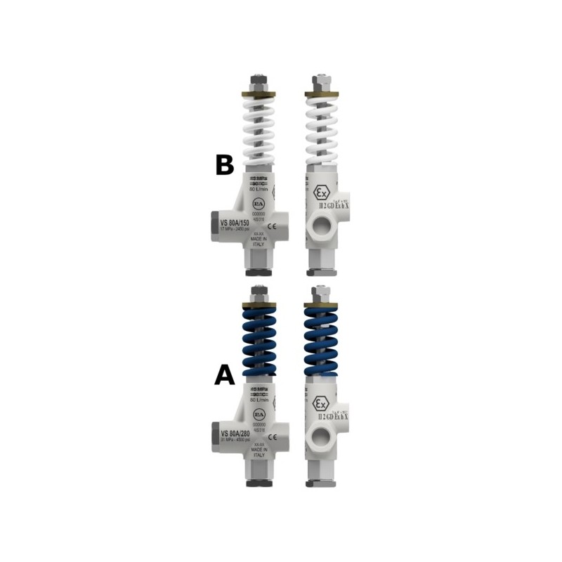 Vs 80/150-280 Aisi 316 - Or. Viton Atex – 60.0590.00